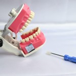 API Dental TYPODONT JAW MODEL, High Quality And Teeth B-561 CE Certified