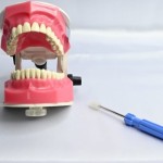 API Dental TYPODONT JAW MODEL, High Quality And Teeth B-561 CE Certified