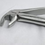 Extraction Forceps Lower Premolar #13