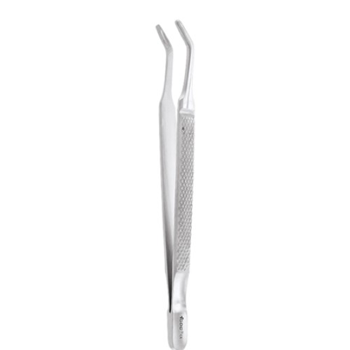 EXTRACTION FORCEPS STANDARD