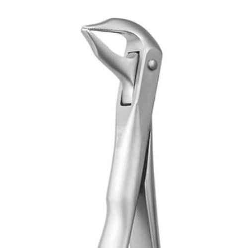 EXTRACTION FORCEPS SECURE