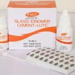 Pyrax Glass Ionomer Cement - Lute Type I
